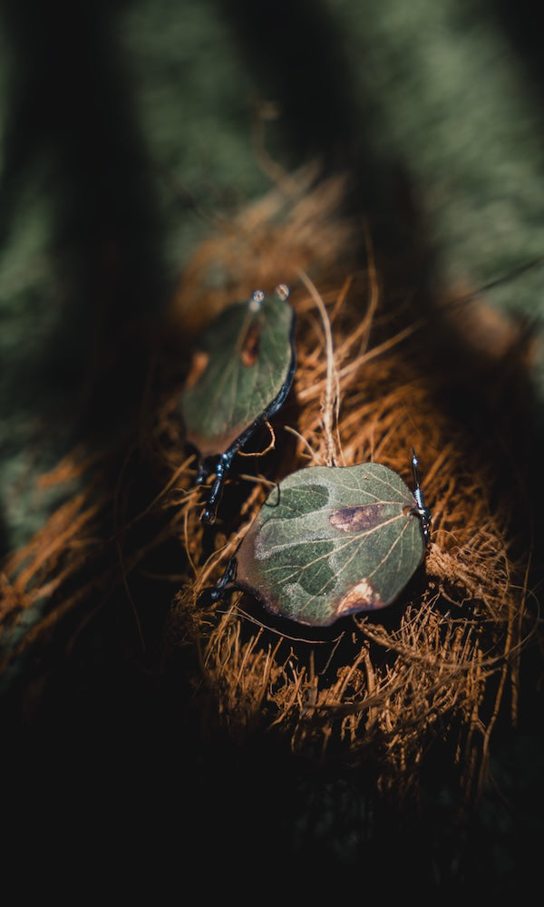 Wiltvein (Earrings)