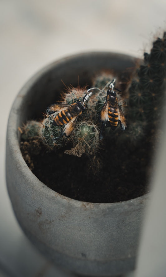 Honeygrave (Earrings)