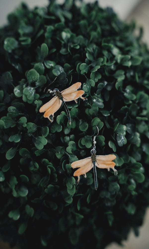 Glassfly (Earrings)