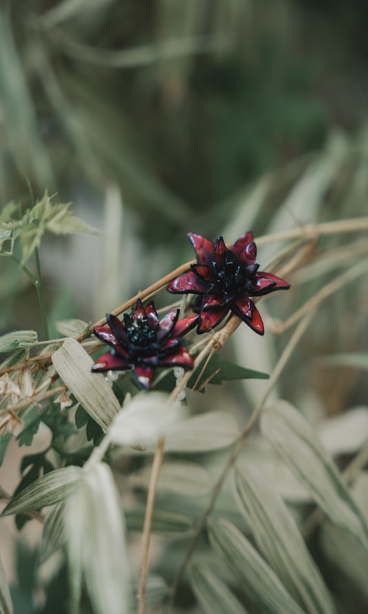Bleed Bloom