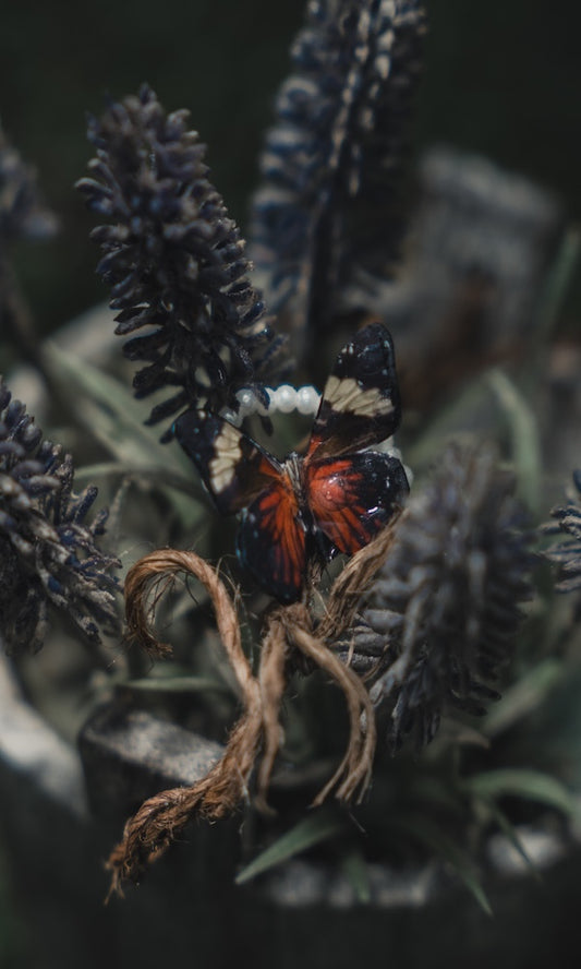 Last Flutter